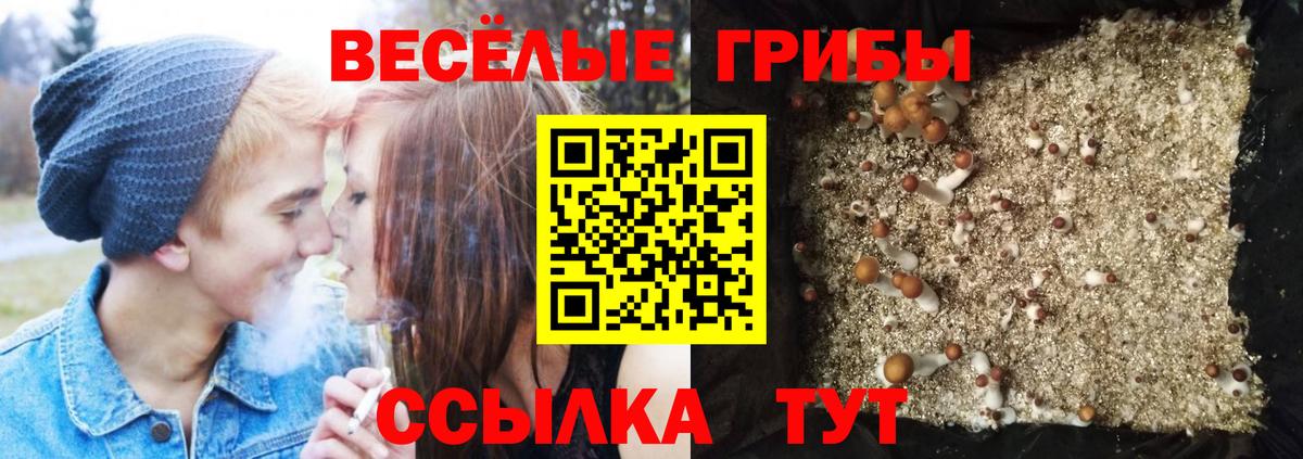 Галлюциногенные грибы мицелий Чернушка