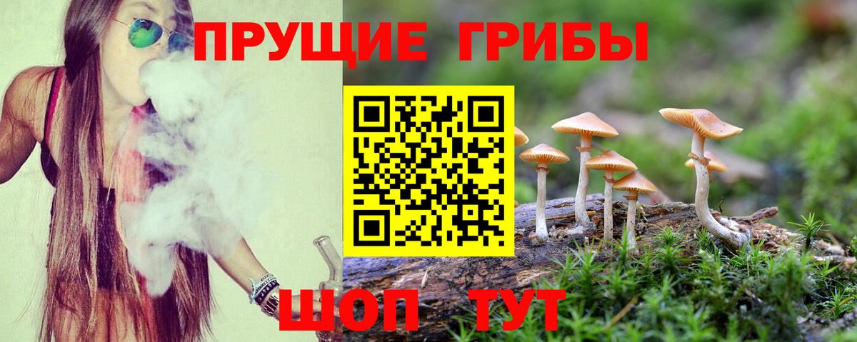 где купить наркоту  Псилоцибиновые грибы Psilocybe  Вход с VPN  Чернушка  Галлюциногенные грибы мухоморы 